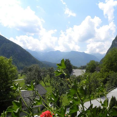 Apartma Cvetek, Srednja Vas 133 Bohinj Eksteriør bilde