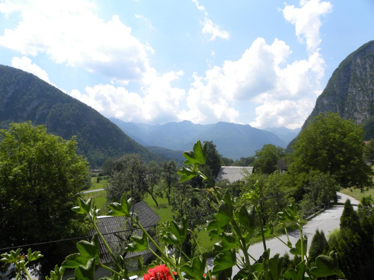 Apartma Cvetek, Srednja Vas 133 Bohinj Eksteriør bilde
